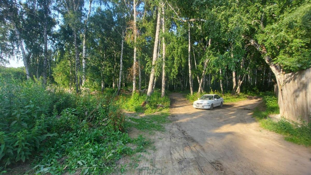 В Новосибирске задержали подозреваемого в изнасиловании двух несовершеннолетних