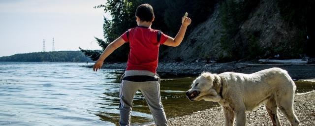 Детям в томских лагерях запретили купаться в открытых водоемах