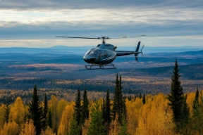 В Магаданской области обсудили меры профилактики лесных пожаров и лесовосстановление