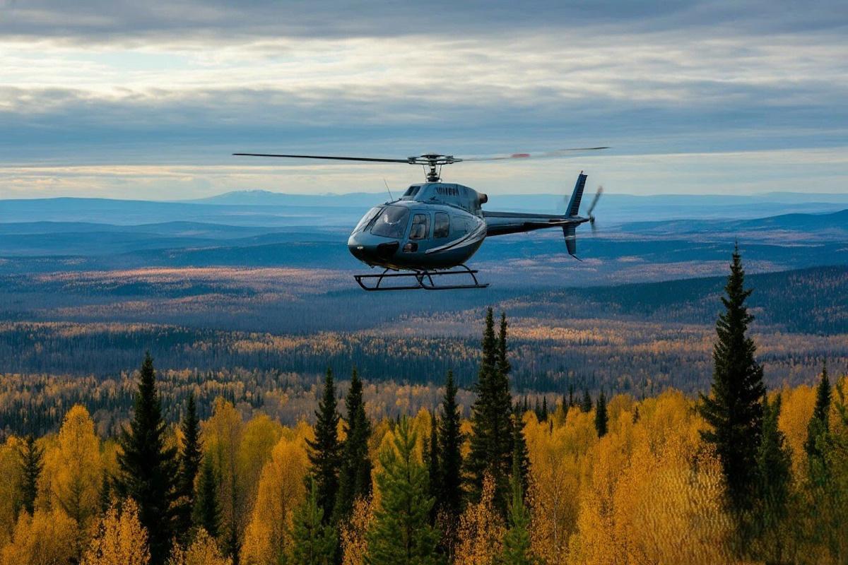 В Магаданской области обсудили меры профилактики лесных пожаров и лесовосстановление