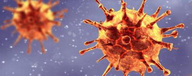 В Новосибирской области выявили еще 93 случая коронавируса