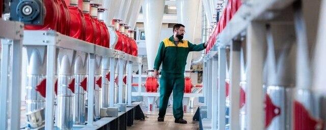 Челябинская область увеличит выпуск макарон на 44 тысячи тонн ежегодно