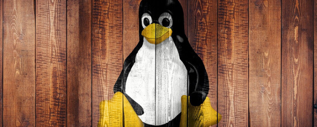 «Лаборатория Касперского» уличила Free Download Manager в заражении ОС Linux