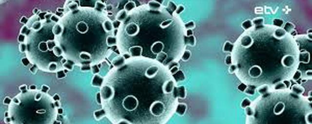 В Новосибирской области подтверждены еще 180 случаев коронавируса