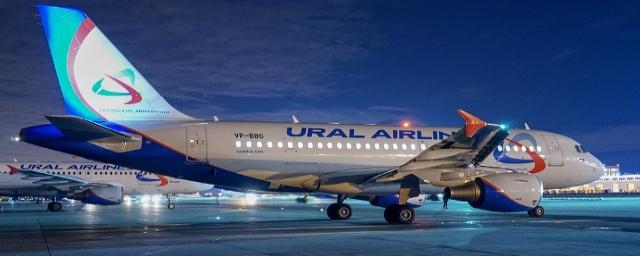 В Свердловской области Роспотребнадзор намерен подать групповой иск к «Уральским авиалиниям»