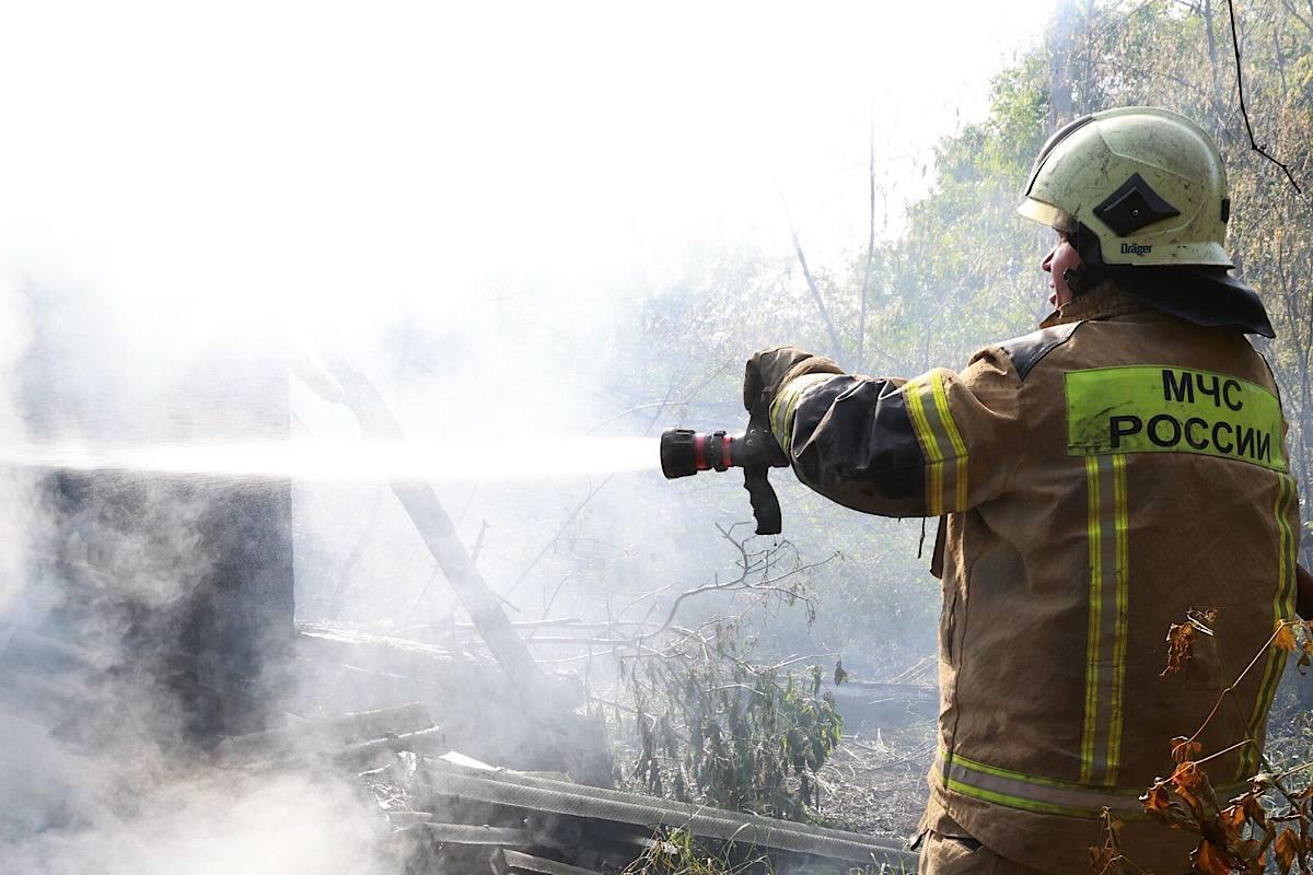 Площадь лесных пожаров в Туве стремительно растет из-за сухих гроз и жары