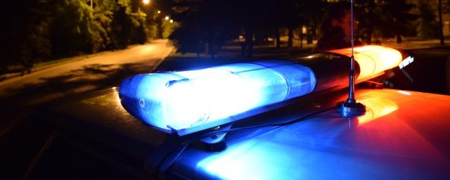В Чердаклинском районе мужчина до смерти избил сожительницу