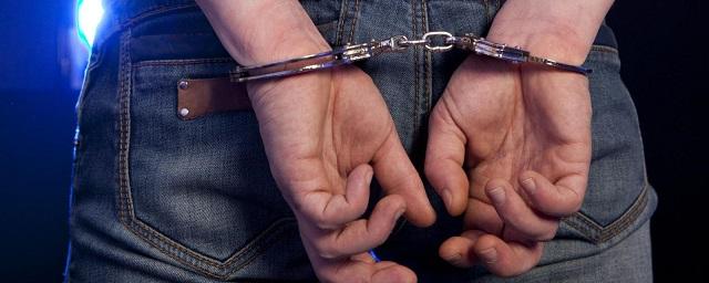 В Москве арестовали подозреваемого в изнасиловании девочки и женщины