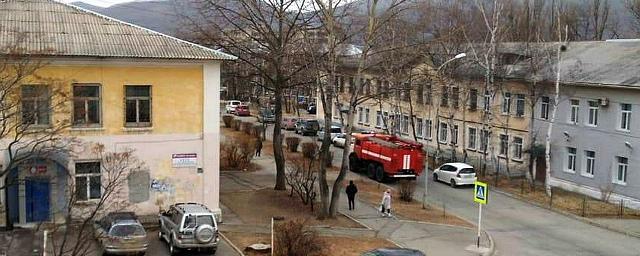 В Саратове бультерьер напал на женщину с ребенком