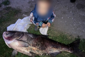 Воронежскому рыбаку улыбнулась удача: он поймал 22-килограммового толстолобика
