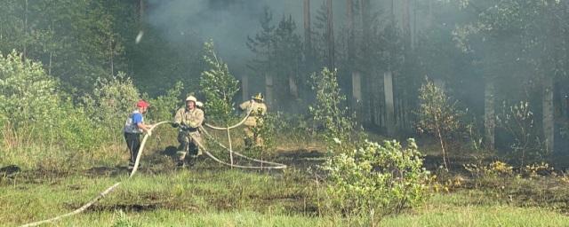В трех лесничествах Свердловской области причиной пожаров назвали поджог