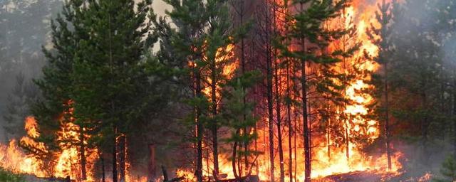 В Тяжинском округе Кузбасса в пожарах погибли четыре человека и сгорели 143 дома