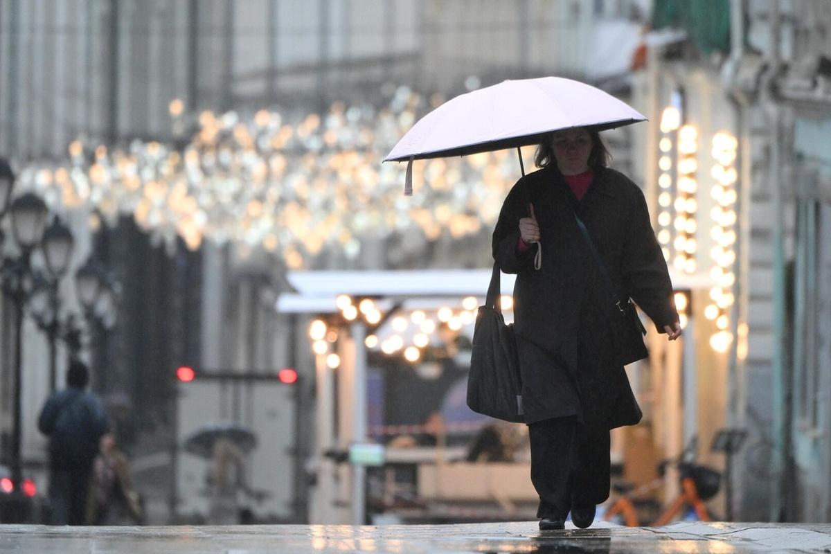 Синоптики пообещали Новгородской области дожди до конца недели