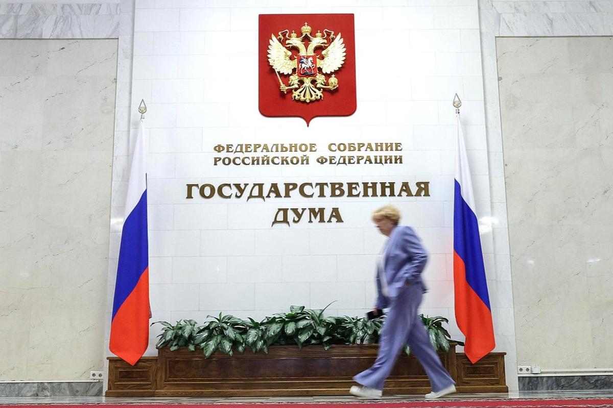 Рейтинг выше 40%: как Володин защищал имидж депутатов во время обсуждения закрытых премий