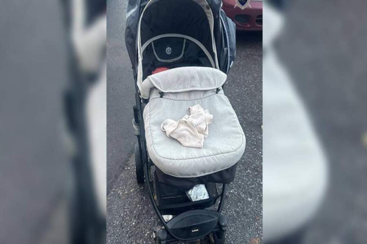 В Петербурге задержали женщину, оставившую коляску с ребенком у мусорных контейнеров