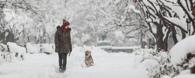 Рязанские синоптики обещают снегопады до конца недели