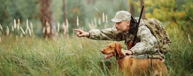 Осеннюю охоту на дичь с собаками в Хакасии откроют с 15 августа