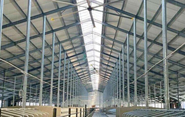 Миллиарды в молоко: под Клином открыли гигантскую ферму, которая даст 9,6 тысячи тонн продукции в год