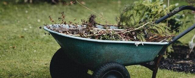 Эксперты рассказали, когда лучше всего начинать подготовку сада к весне