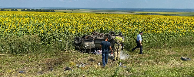 В Пензенской области в ДТП с тремя легковушками погибли три человека и двое пострадали