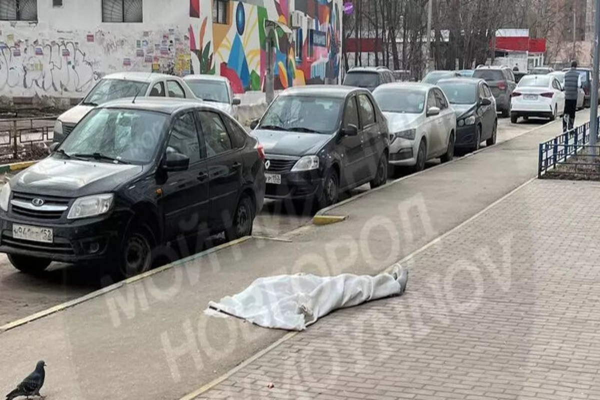 В Нижнем Новгороде под окнами многоэтажки нашли труп