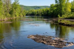 Тысячи тонн нефти, «чёрный дождь» и риск для курортов: экологические последствия атаки на Туапсе