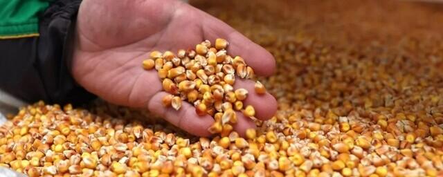 Глава Минсельхоза РФ Патрушев: Министерство будет ограничивать импорт семян