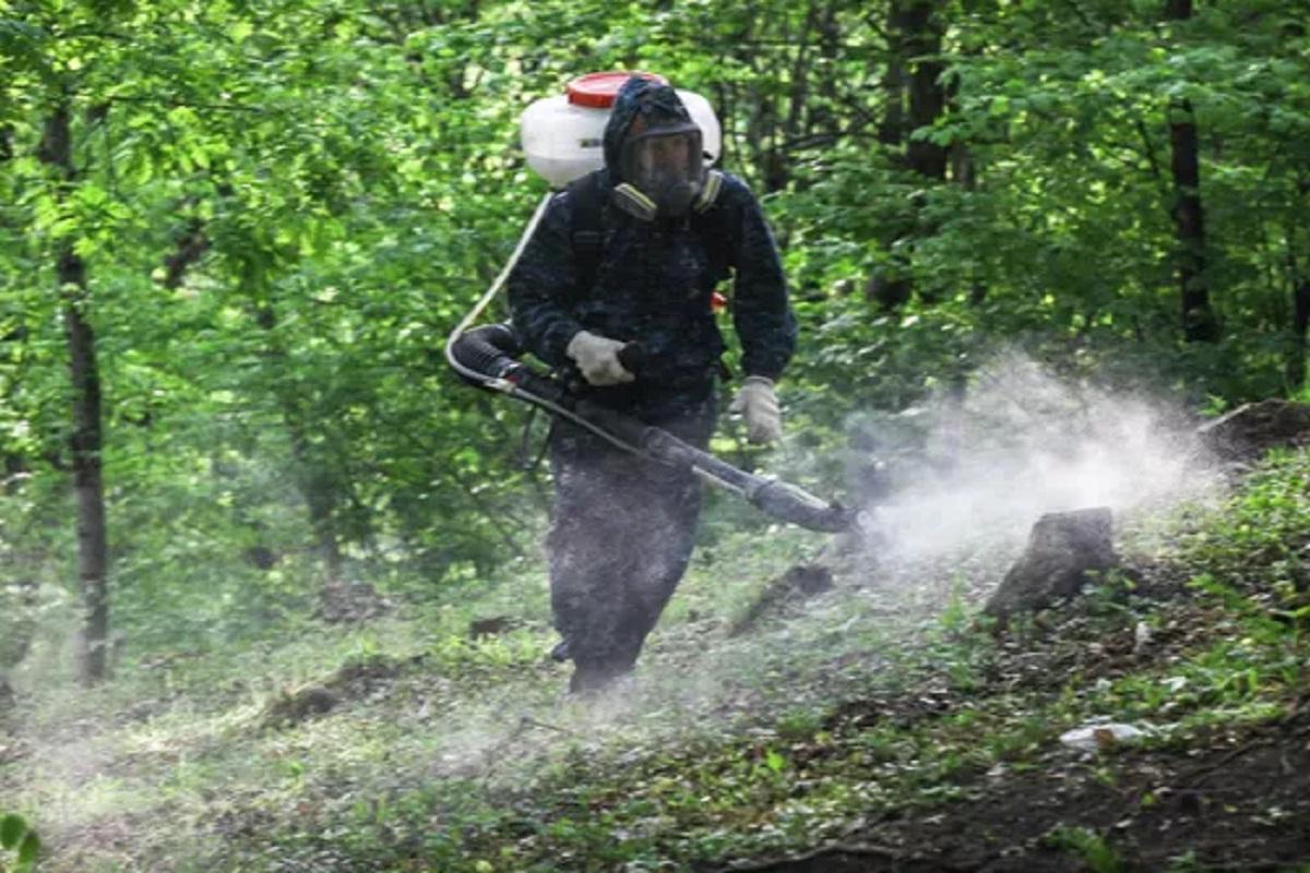 В Новосибирске приступили к обработке кладбищ от клещей