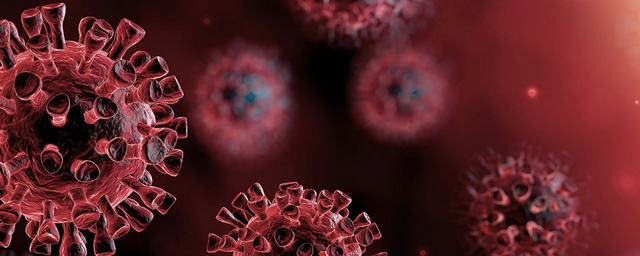 В Приамурье за сутки выявлено 157 новых случаев коронавируса