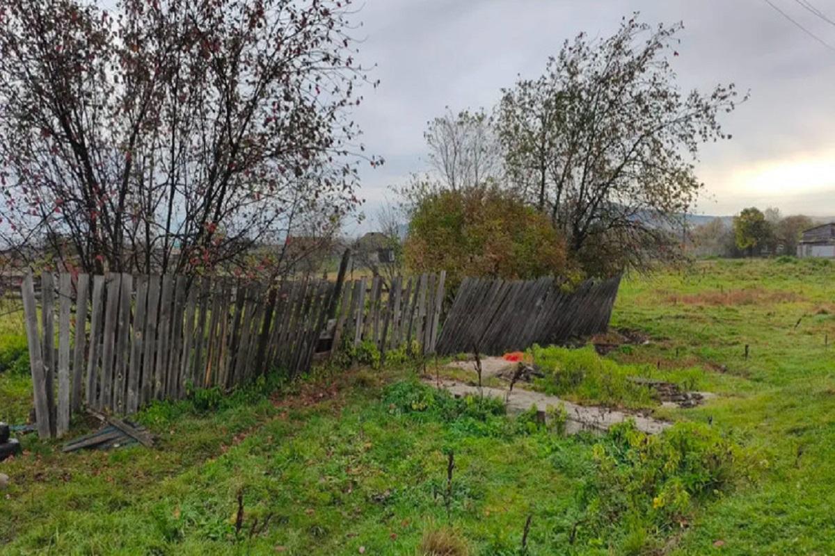 В Красноярском крае пенсионерка открыла дверь медведю, проигнорировав предупреждения родных