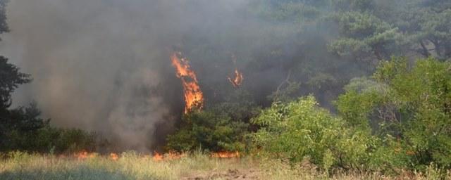 В Томской области спасатели ликвидировали 9 лесных пожаров