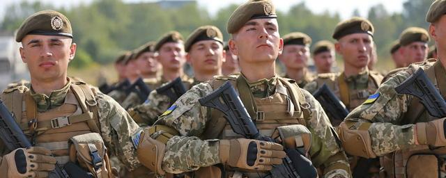 На Украине создали оружие против российской армии