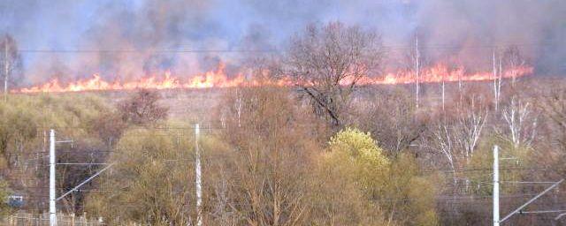 Во Владимире из-за пожара сгорело более 30 гектаров сухостоя