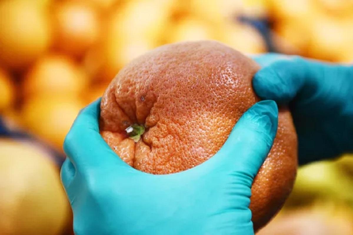 Врач Кашух рассказала, почему не стоит запивать лекарства грейпфрутовым соком