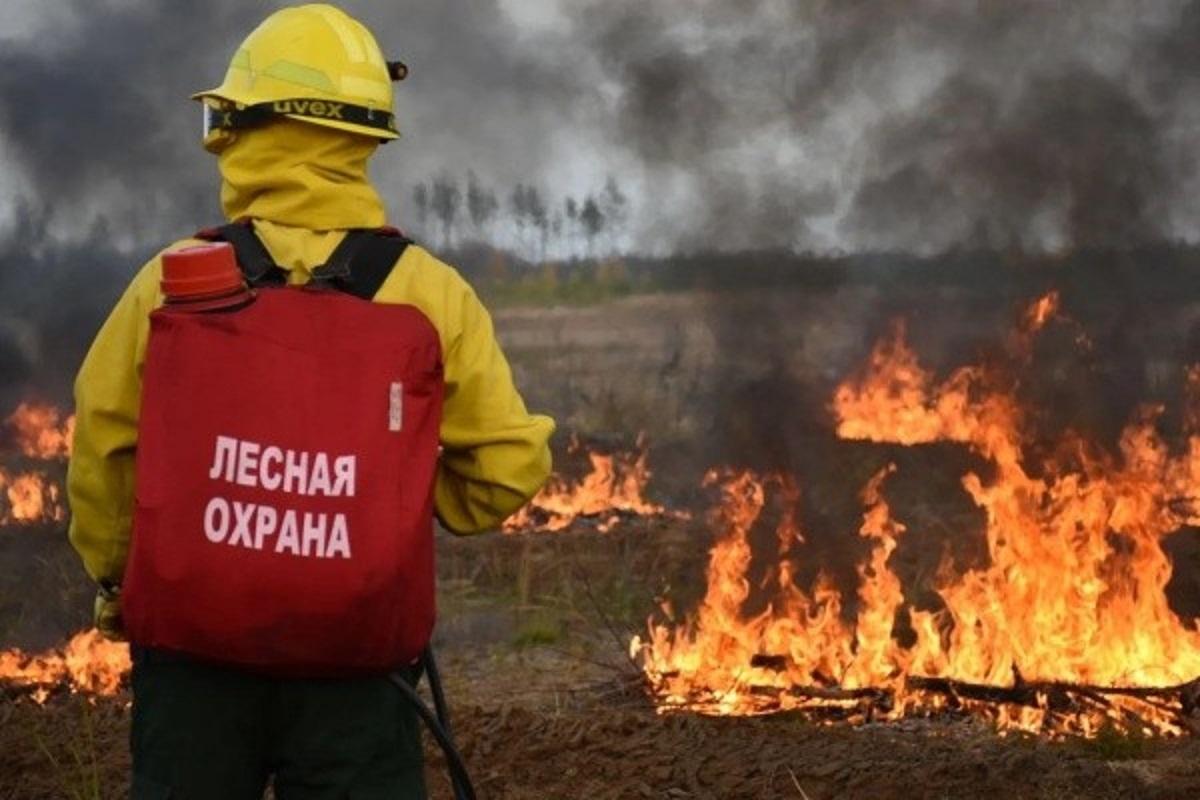 В Марий Эл произошло три лесных пожара из-за халатности людей
