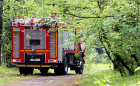 Из-за риска возгораний в Липецкой области ограничили доступ в леса на две недели