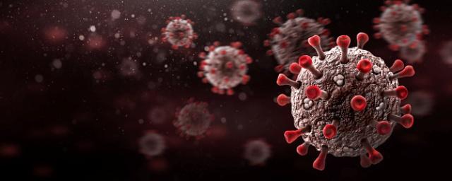 New potentially dangerous human coronavirus NeoCov detected in South Africa
