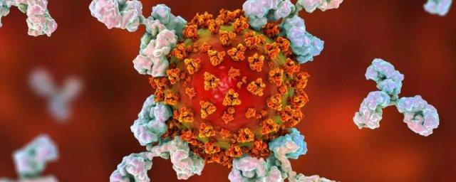 Вирусолог Кизек: Антитела после ковид-вакцинации не защищают от омикрон-штамма
