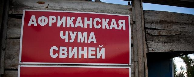 В некоторых районах Волгоградской области сняли карантин по АЧС