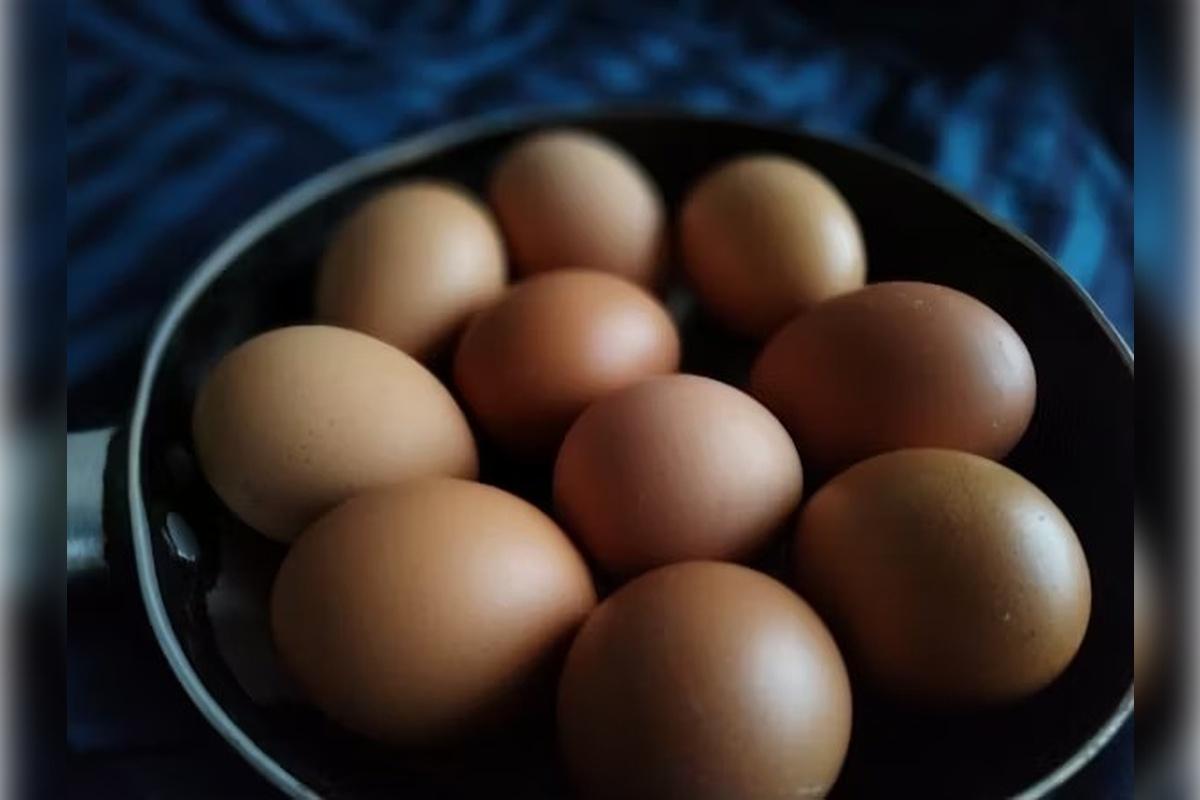 В России резко подешевели куриные яйца