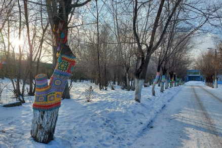 Краноярские школьники приодели деревья в вязаные свитера