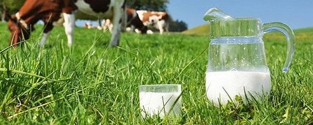 Диетолог Михалева предупредила, что полный отказ от молока приведет к дефициту кальция