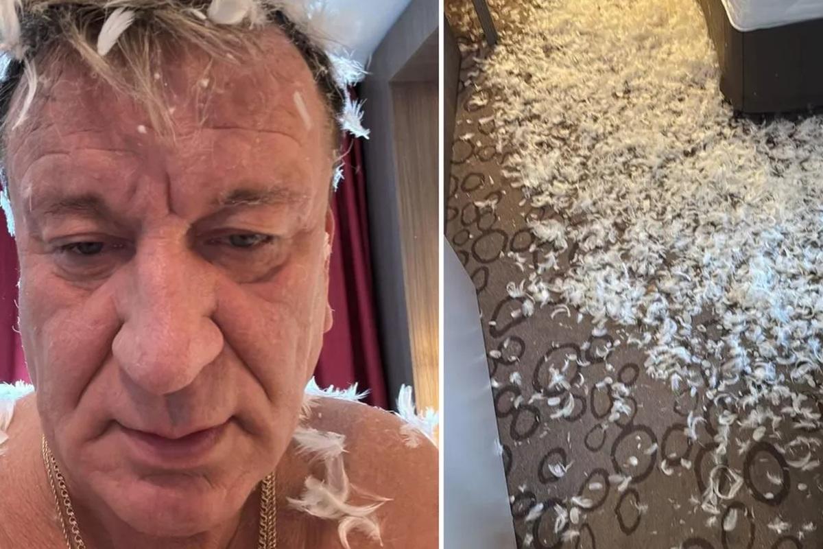 Пенкина оштрафовали на 350 тысяч рублей за уборку перьев в номере отеля