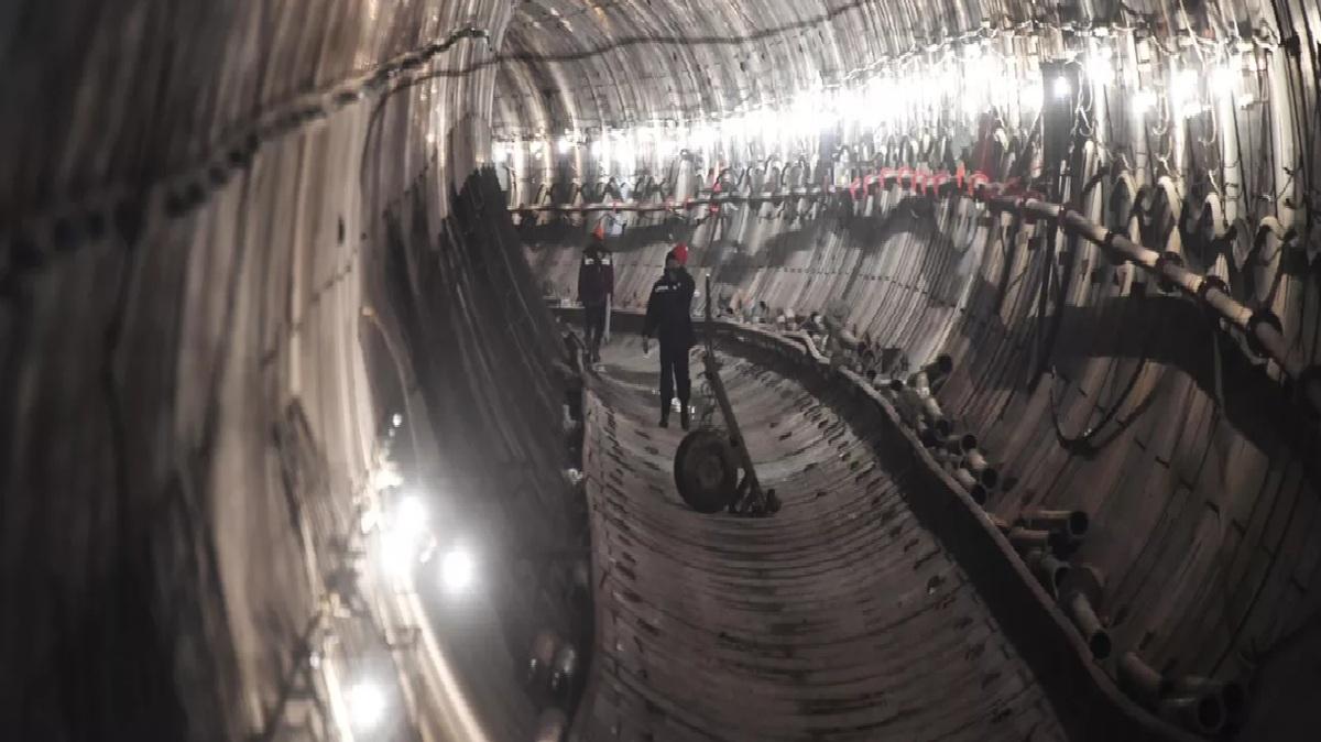 Ученые расшифровали предупреждение из будущего о гибели человечества от ИИ