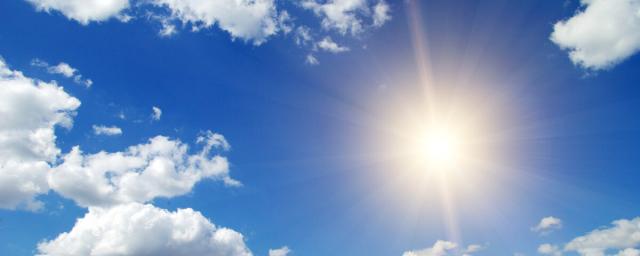 В Воронежской области в июле ожидается «опасное солнце»
