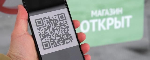 Путин: Вводить QR-коды под Новый год – достаточно сложная история