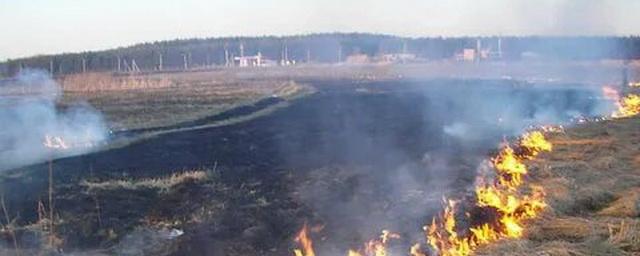 В Нижнеудинске двое школьников жгли сухую траву и спалили постройки во дворе жилого дома