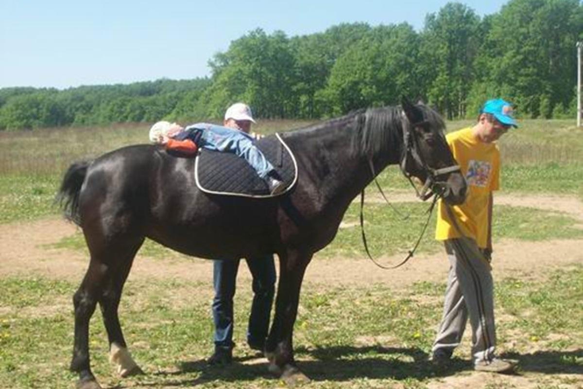 Родители детей-инвалидов во Владимирской области выиграли грант на иппотерапию