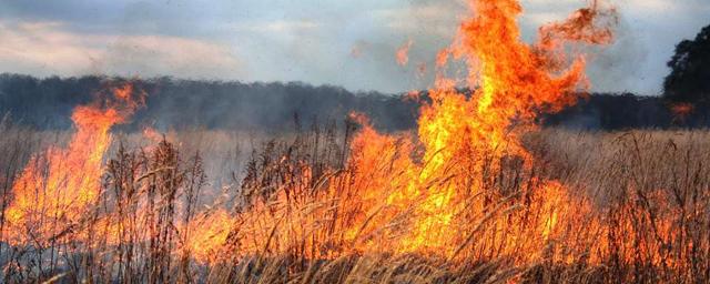 МЧС оценило пожароопасную обстановку в Нальчике