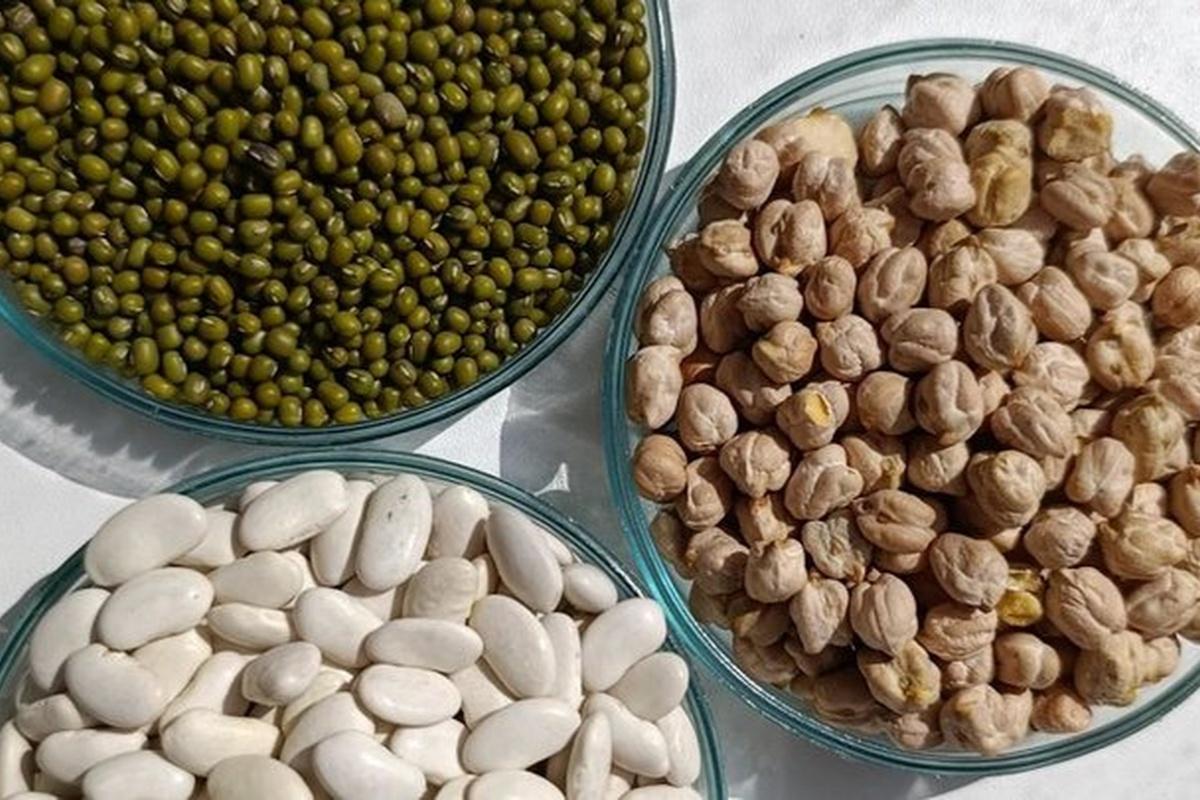 Россия стала импортировать больше нута, маша и фасоли